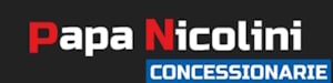 Concessionarie Papa Nicolini S.r.l.